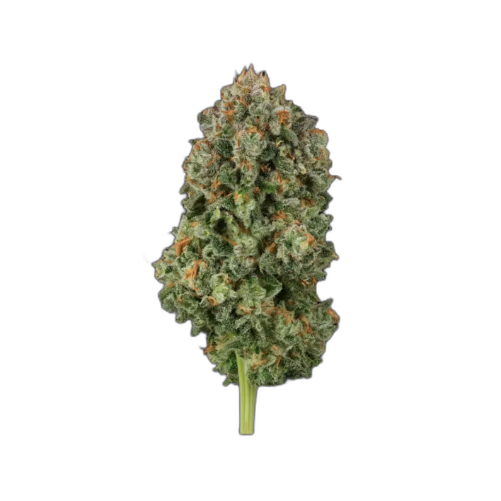 Dark Heart cannabis flower