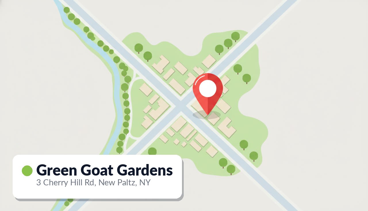 Green Goat Cannabis Shoppe Review: New Paltz's Spa-Like Dispensary